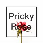 Prickly Rose专辑