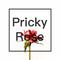 Prickly Rose专辑