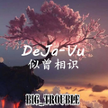 DeJa-Vu(似曾相识）