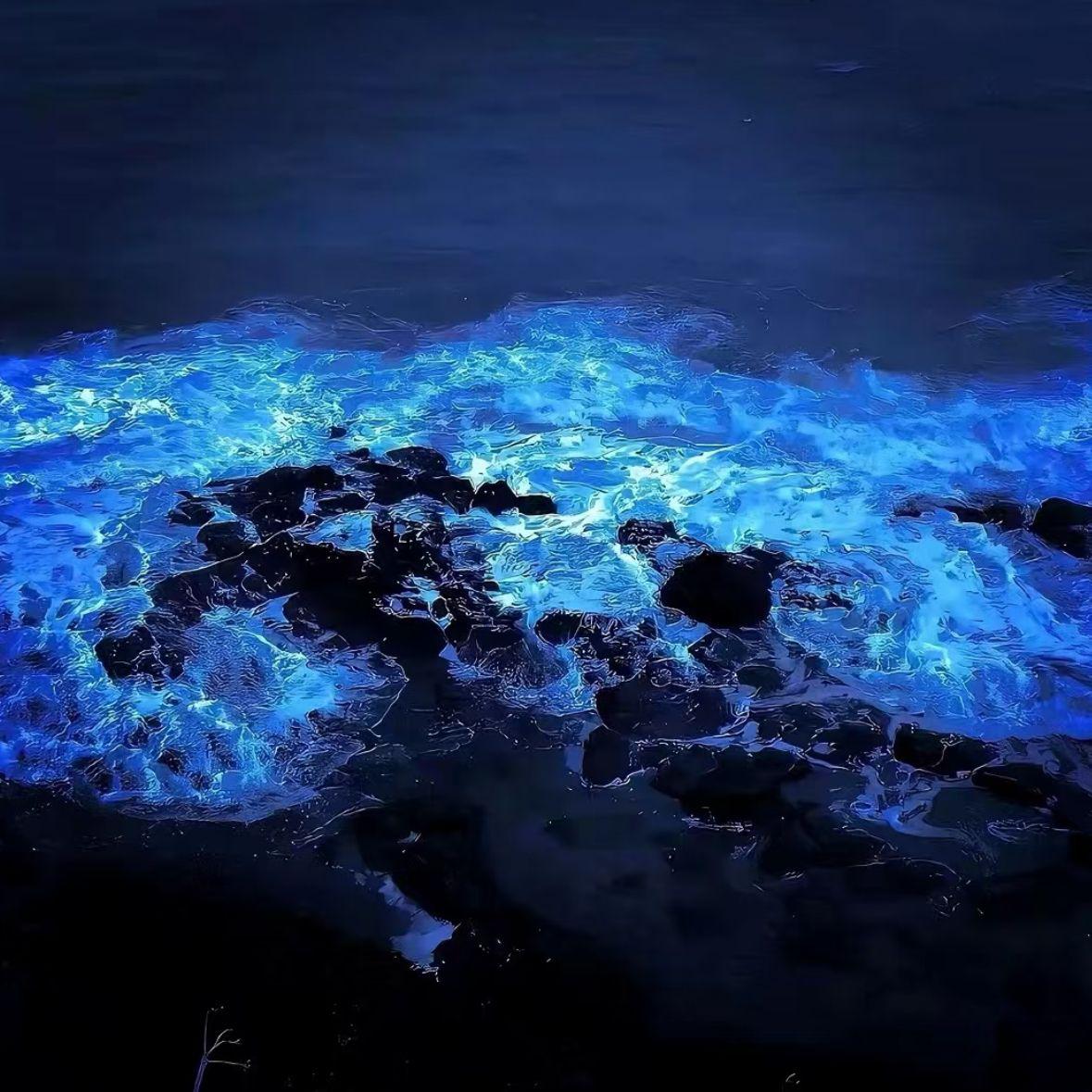 海