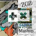 Forbidden Voice & WIEE(ZGZ Mashup)