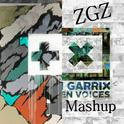 Forbidden Voice & WIEE(ZGZ Mashup)专辑