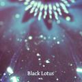 Black Lotus (Star* Remix)