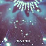 Black Lotus (Star* Remix)专辑
