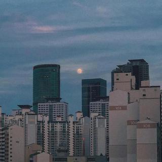 漫天星河落在你眼里 我爱你有迹可循