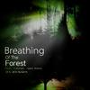 Breathing Of The Forest专辑