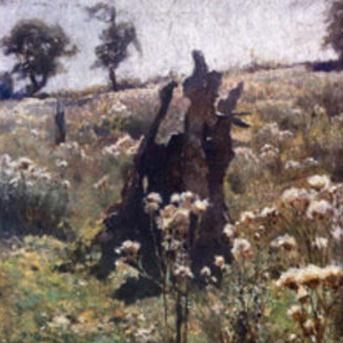 A Tree Inside the Wolves