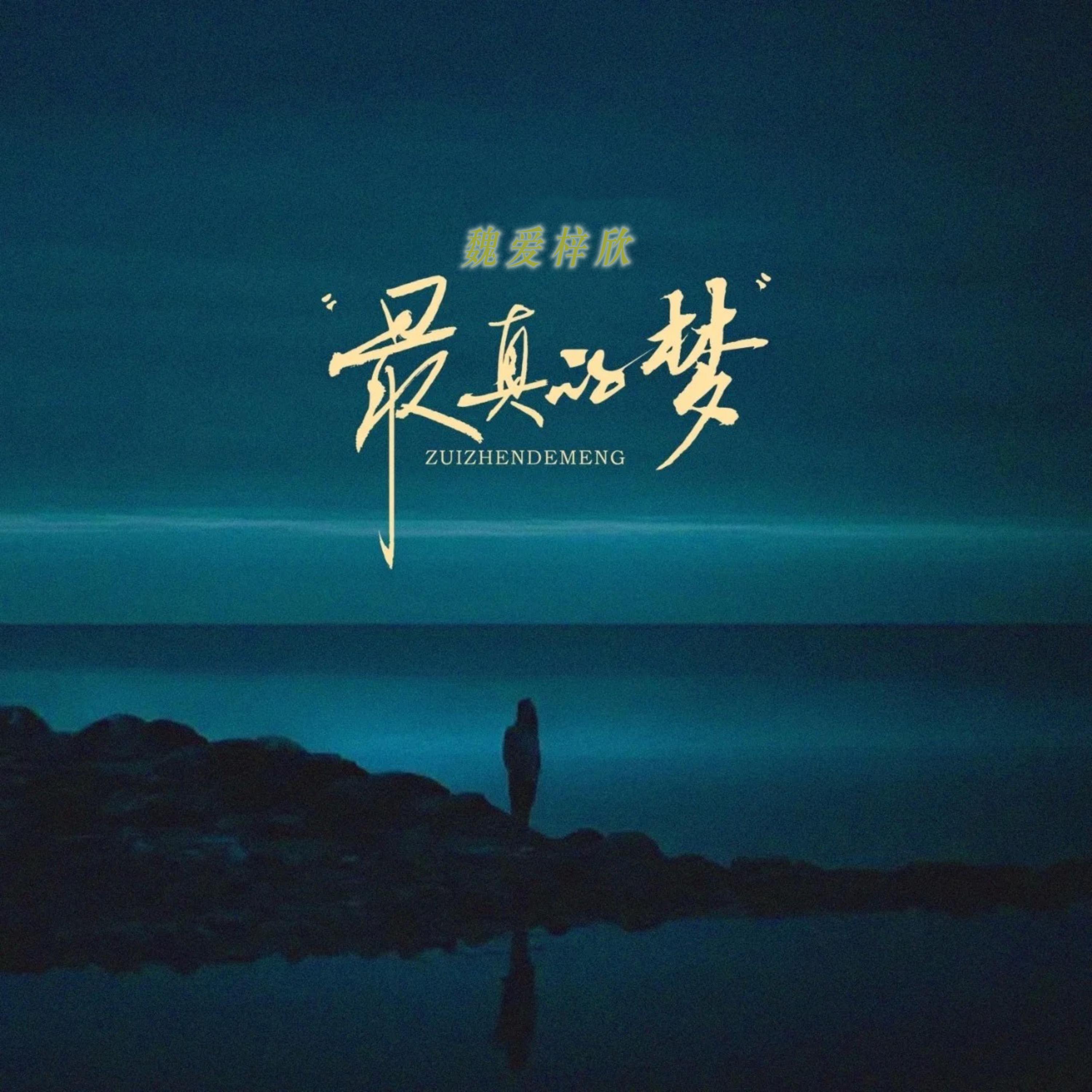 最真的梦（合唱版）