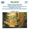 BRAHMS, J.: Waltzes / Cadenzas / Die schone Magelone (Biret)