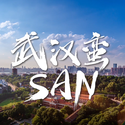 武汉蛮san