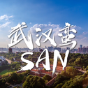 武汉蛮san专辑