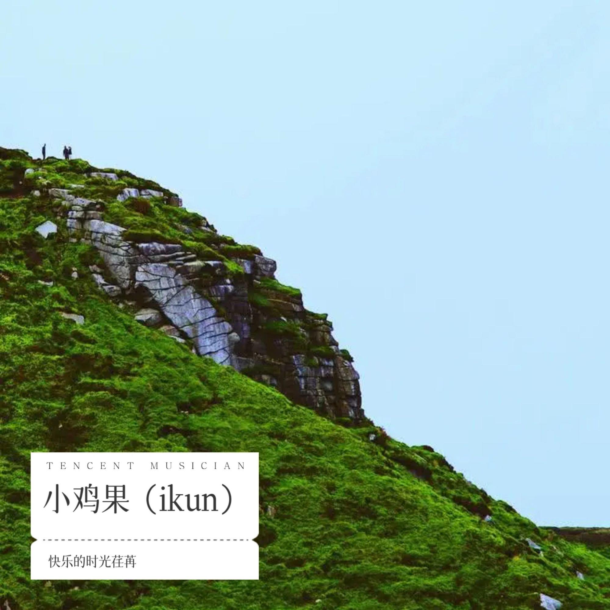 小鸡果（ikun）