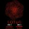 Lotus - 2014-04-12 Riviera Theater, Chicago, IL专辑