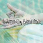 42 Surrounding Natural Tracks专辑