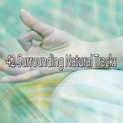 42 Surrounding Natural Tracks
