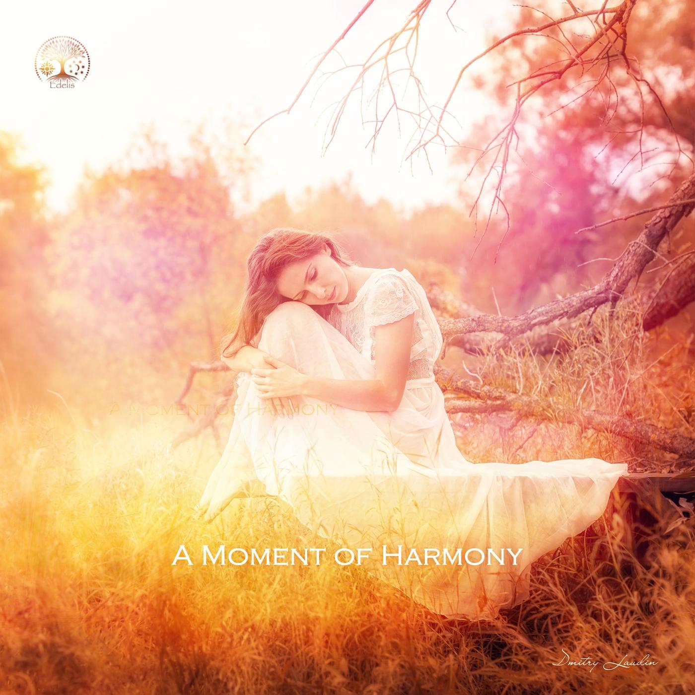 A Moment of Harmony