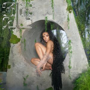 Tinashe - I Can See the Future (BB Instrumental) 无和声伴奏 （升8半音）