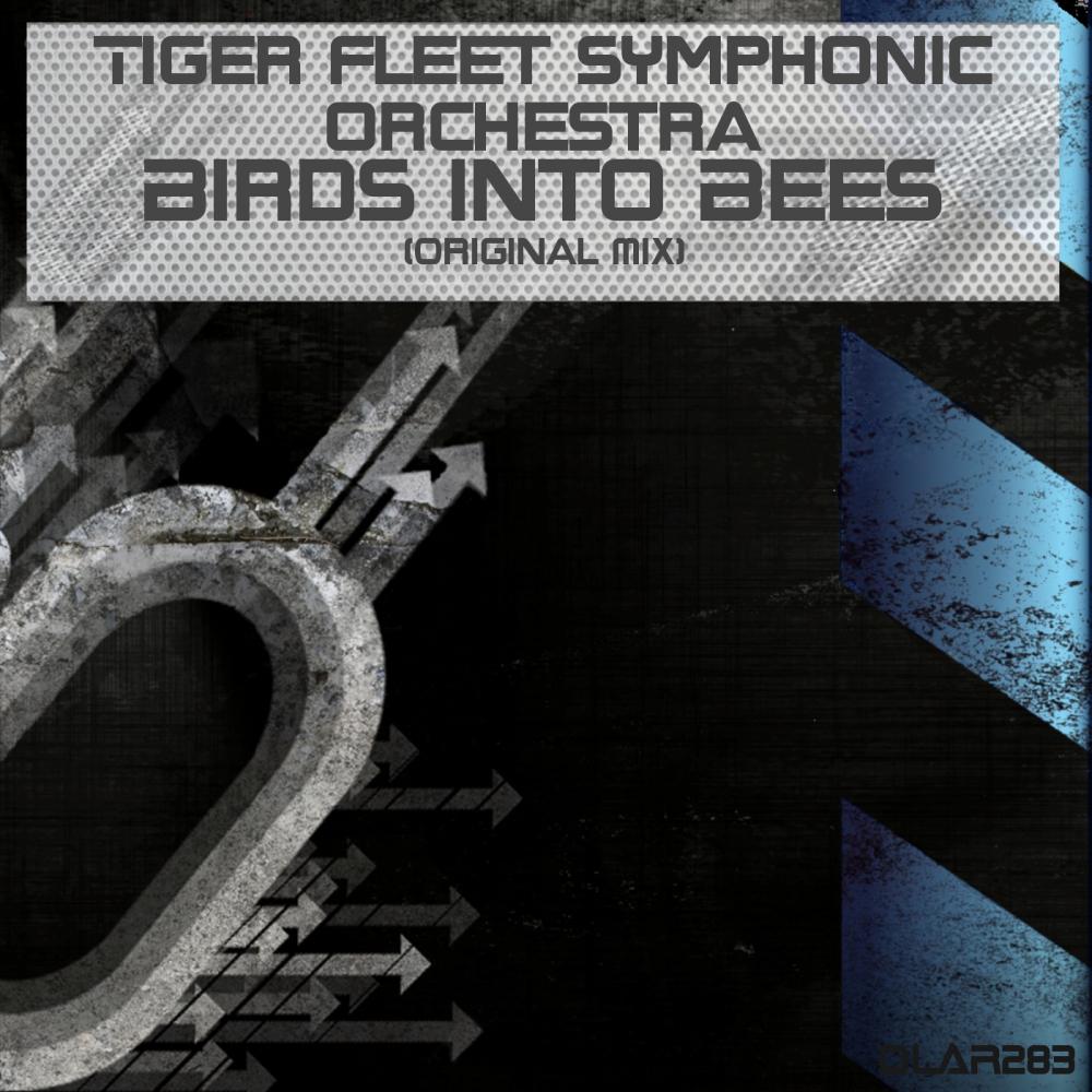 Tiger Fleet Symphonic Orchestra - Birds Into Bees (Original Mix)