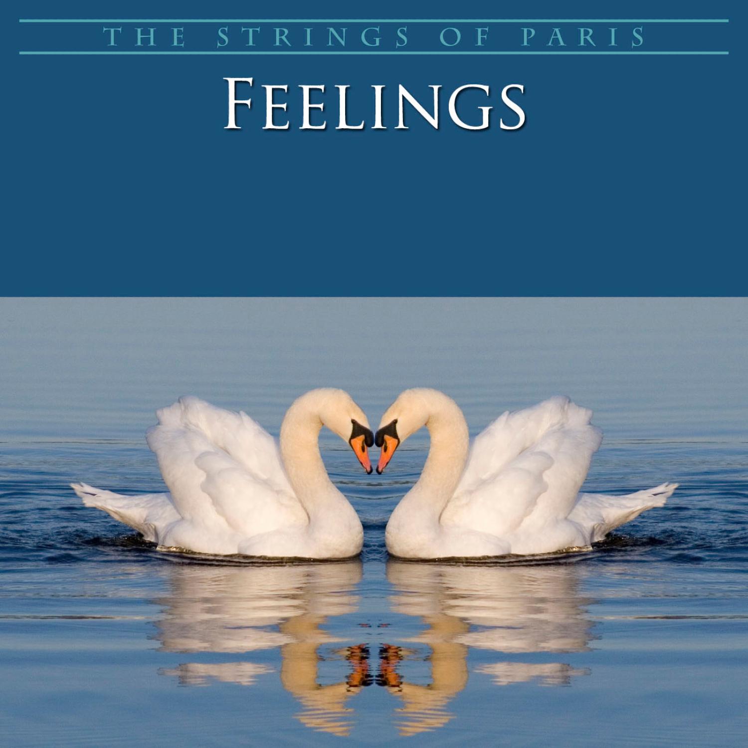Feelings