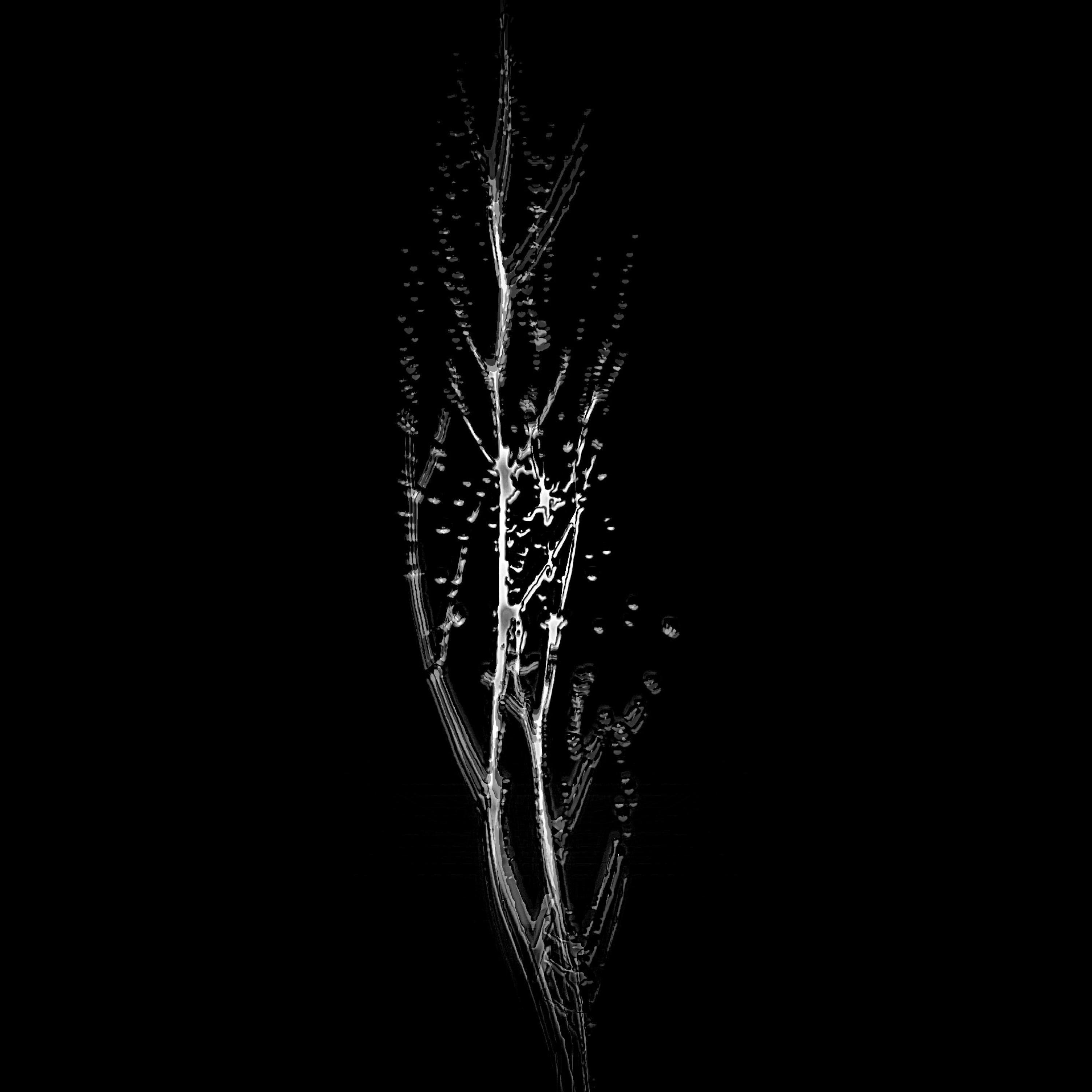 Mysticism