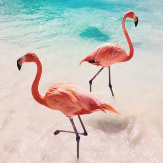 前奏控「十秒前奏带你走进夏天」