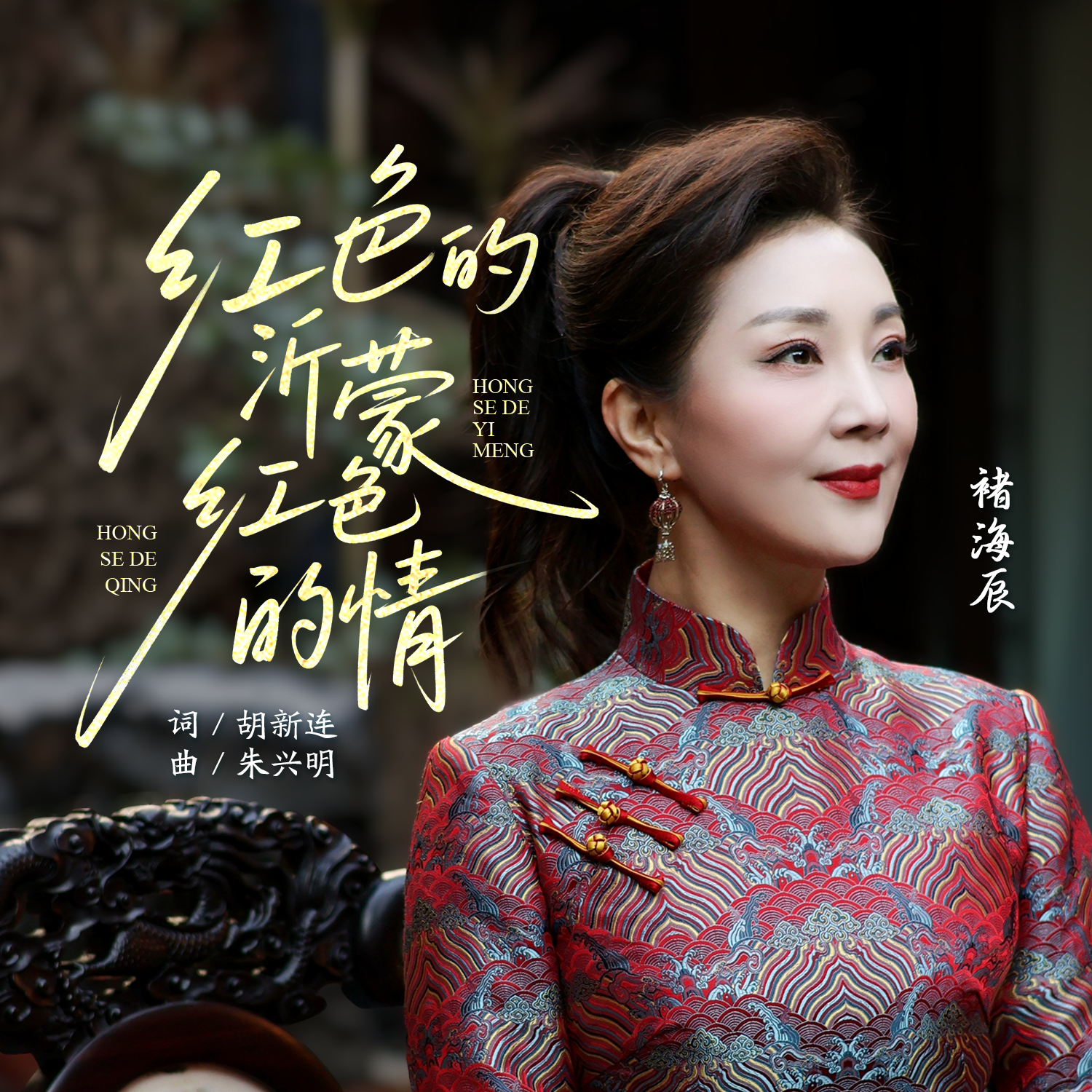 红色的沂蒙红色的情
