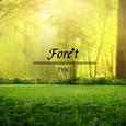 Forêt