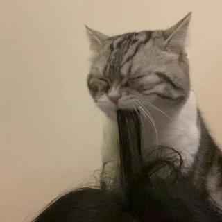 网易云伤感音乐（好听翻唱合集）♥