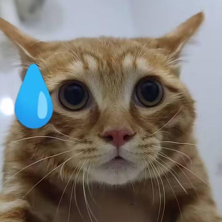 冰と僕らと(memes remix)消音版