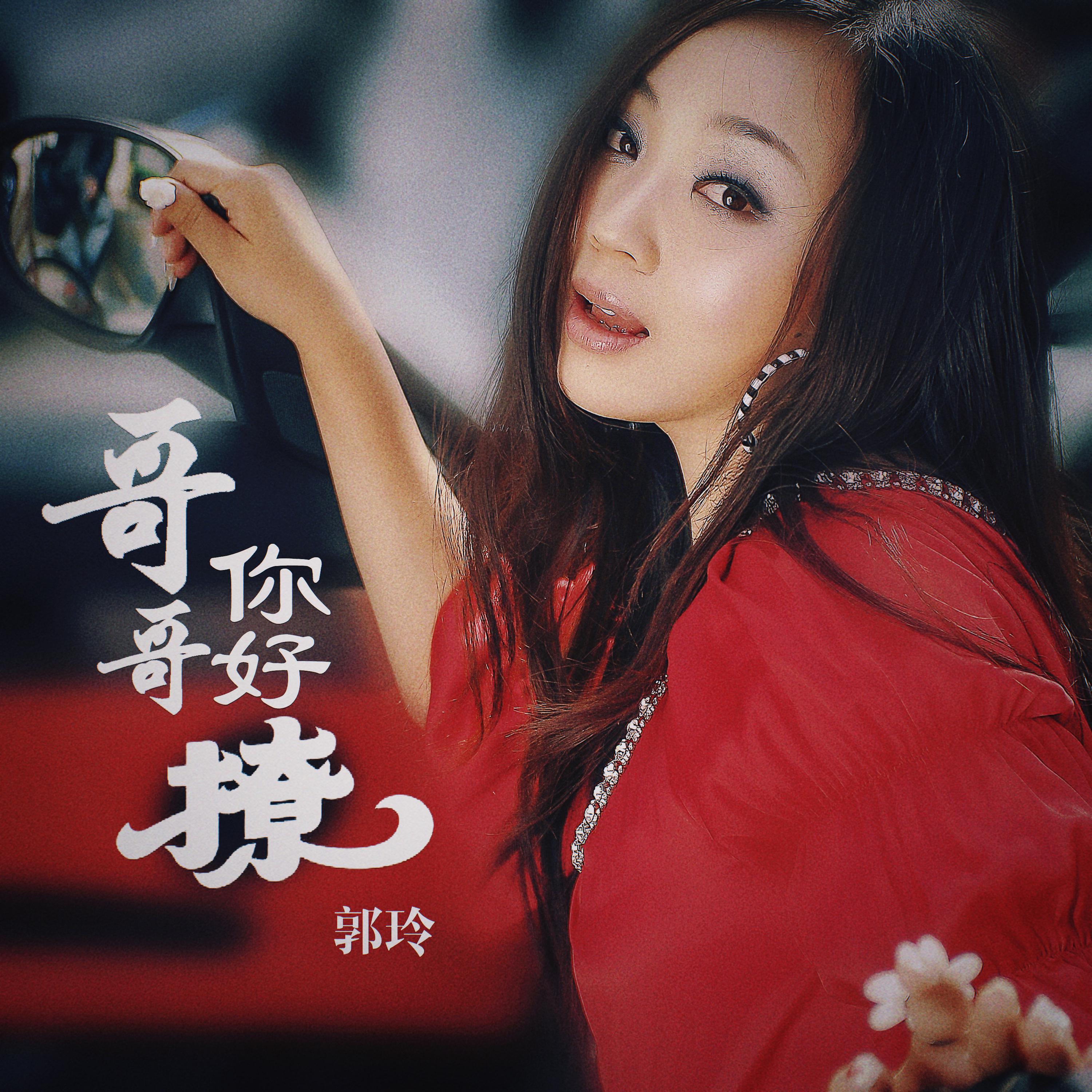 哥哥你好撩 (DJ何鹏版)