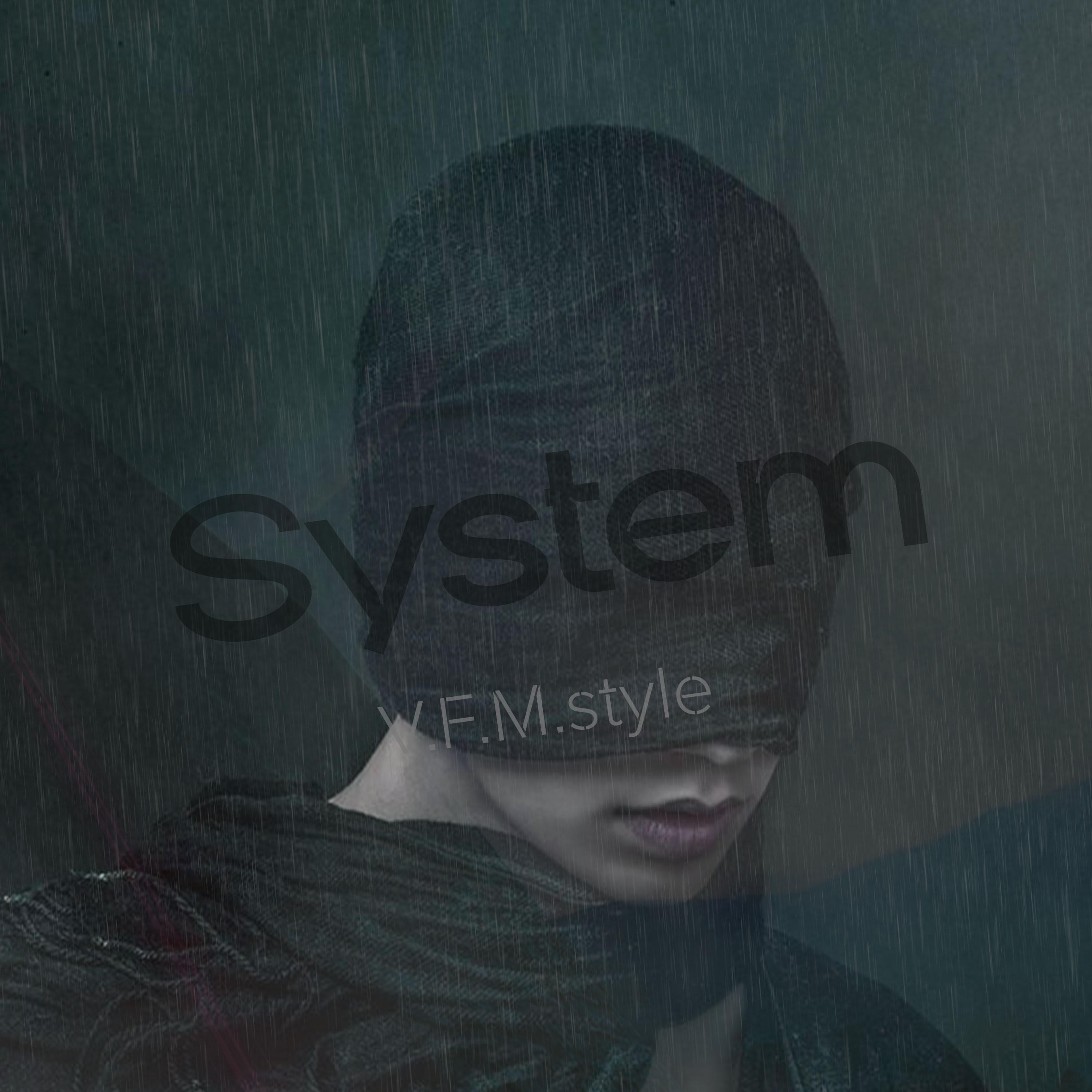 V.F.M.style - System