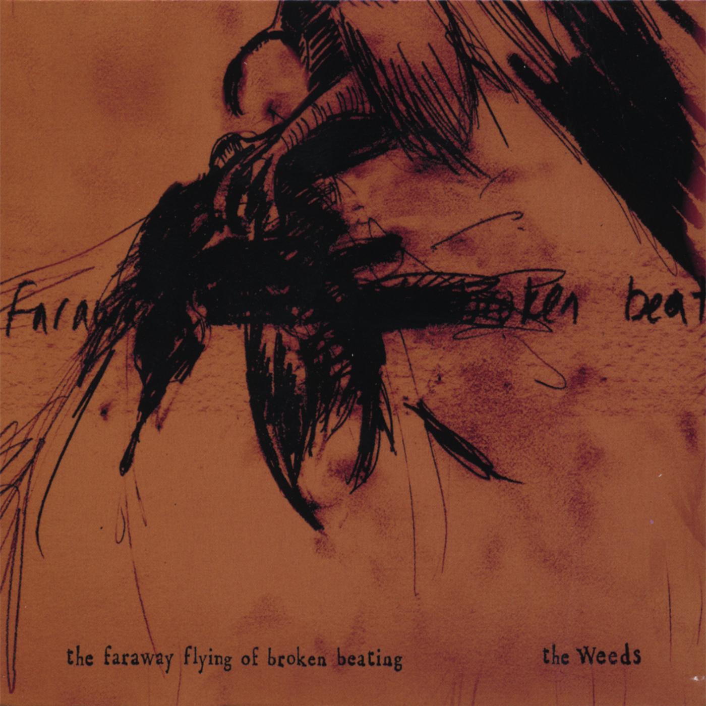 The Faraway Flying of Broken Beating