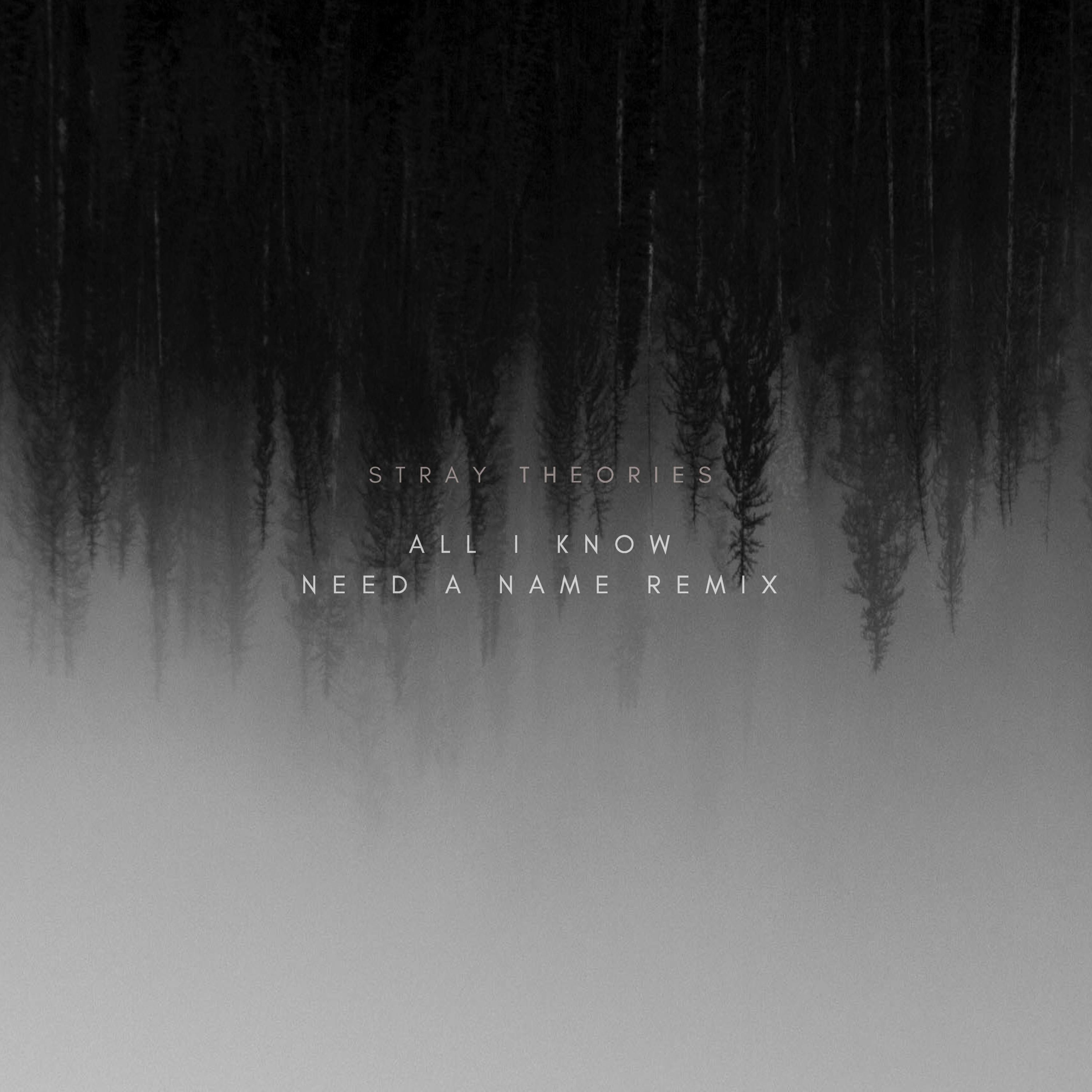 All I Know (Need a Name Remix)