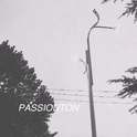 Ton of passion专辑