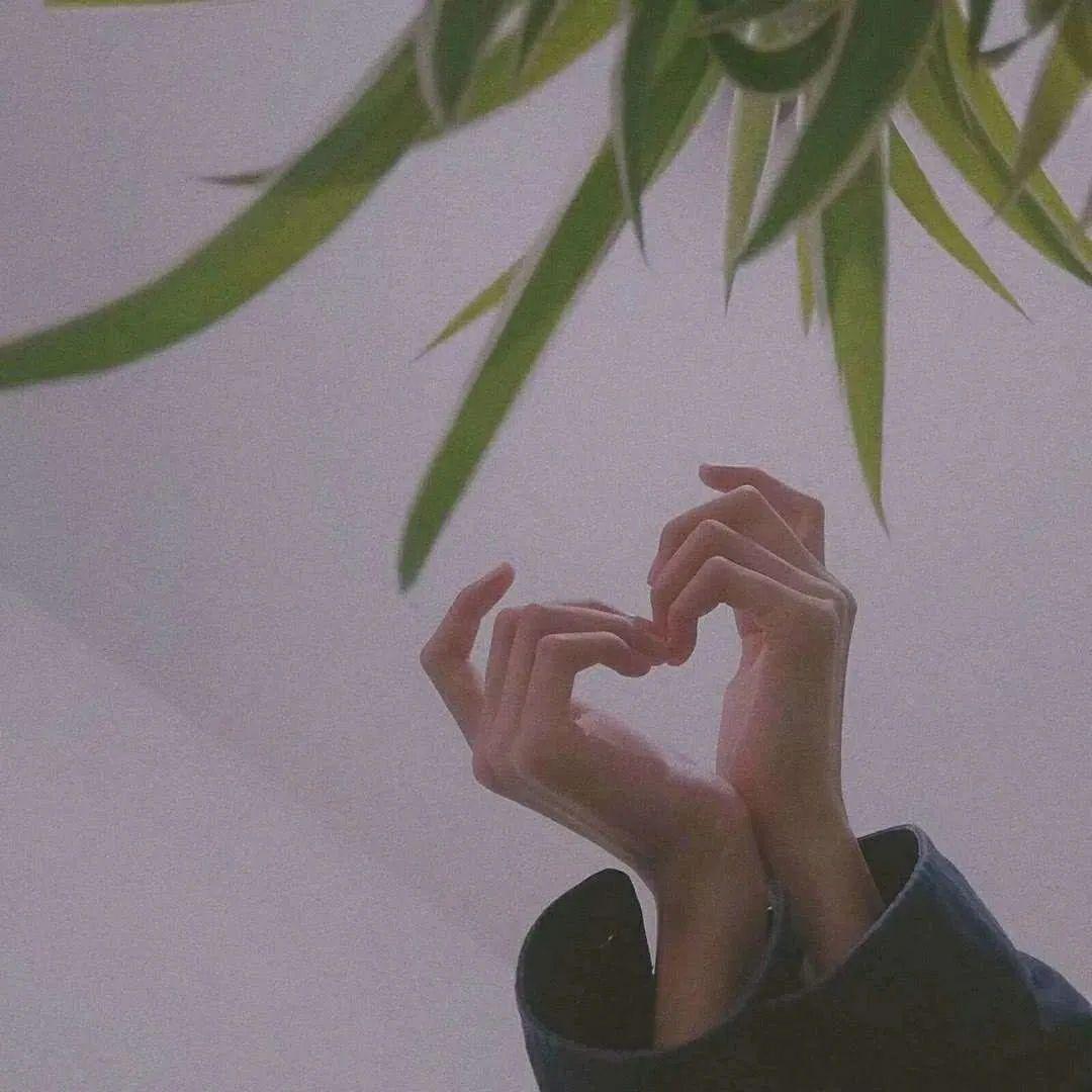 小朋友喜欢的歌