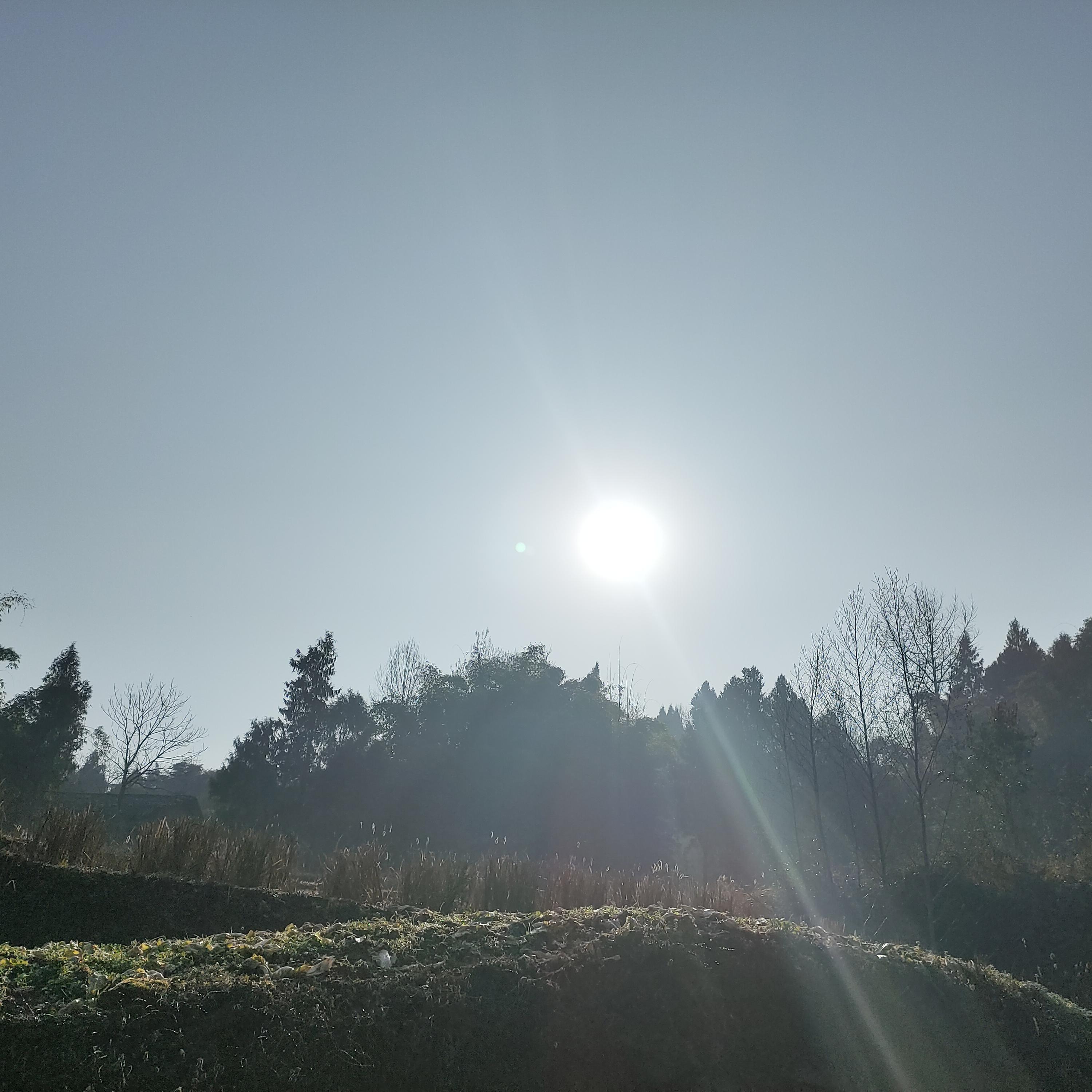 黑夜过后最美的你