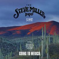 Going To Mexico - The Steve Miller Band (unofficial Instrumental)