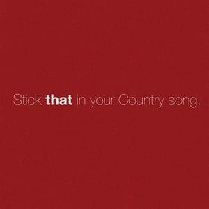 Stick That In Your Country Song (KV Instrumental) （原版立体声无和声） （升5半音）