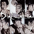 Dalmatian 1st Mini Album