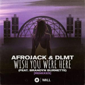 Afrojack & DLMT ft. Brandyn Burnette - Wish You Were Here (无损版Insl) 原版无和声伴奏 （升7半音）
