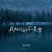 我期待的不是雪 (而是有你的冬天) (Live合唱版)