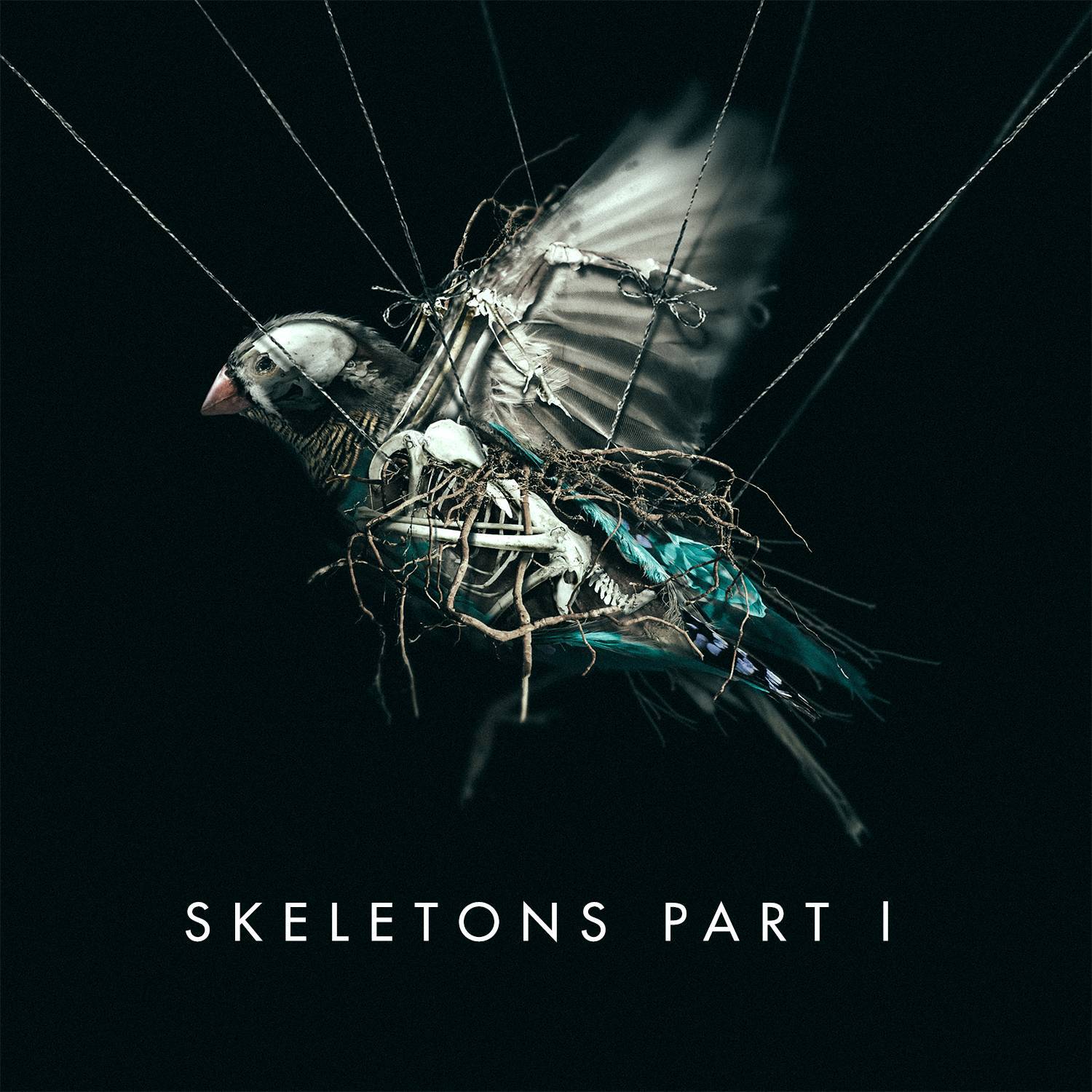 Skeletons: Part 1专辑