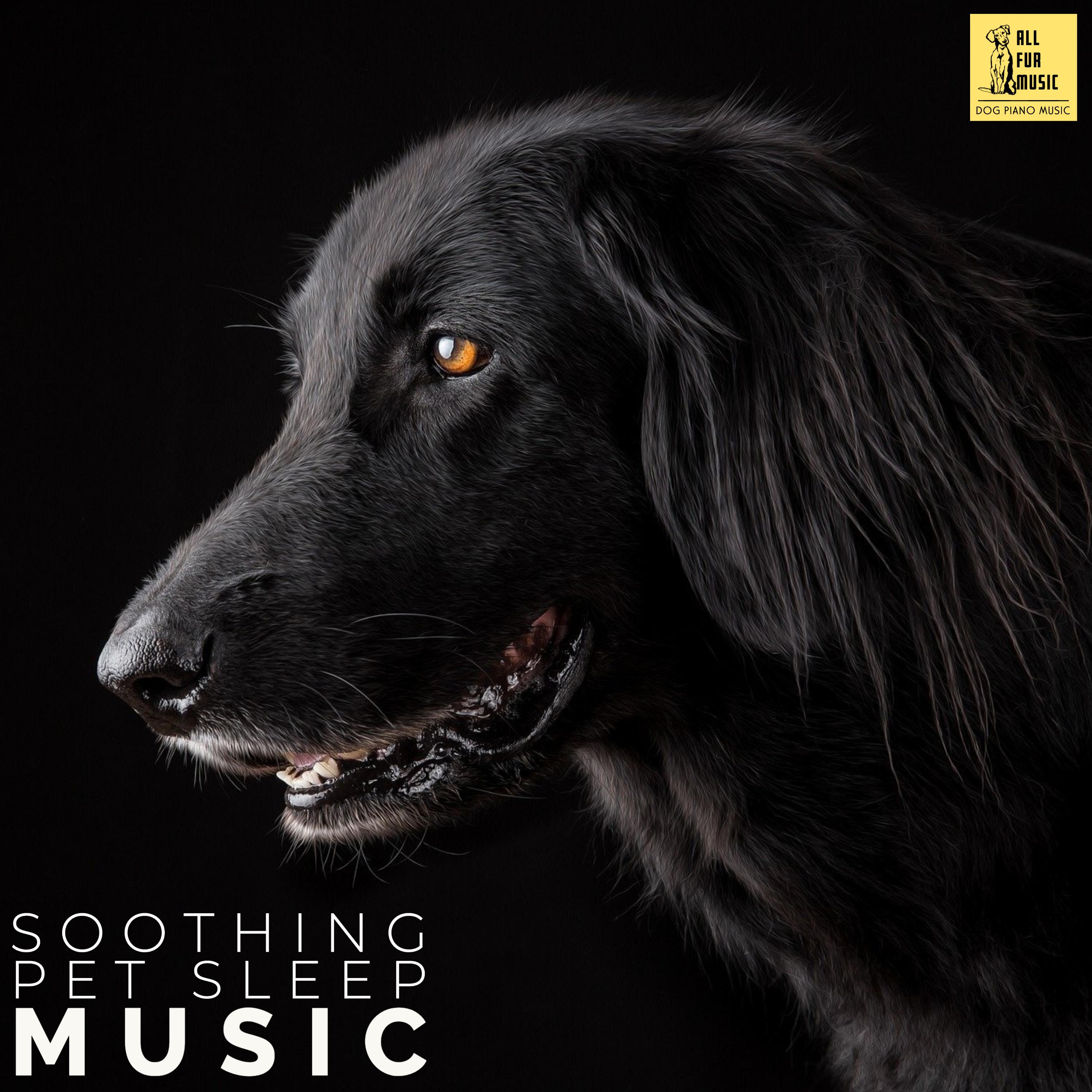 Soothing Pet Sleep Music