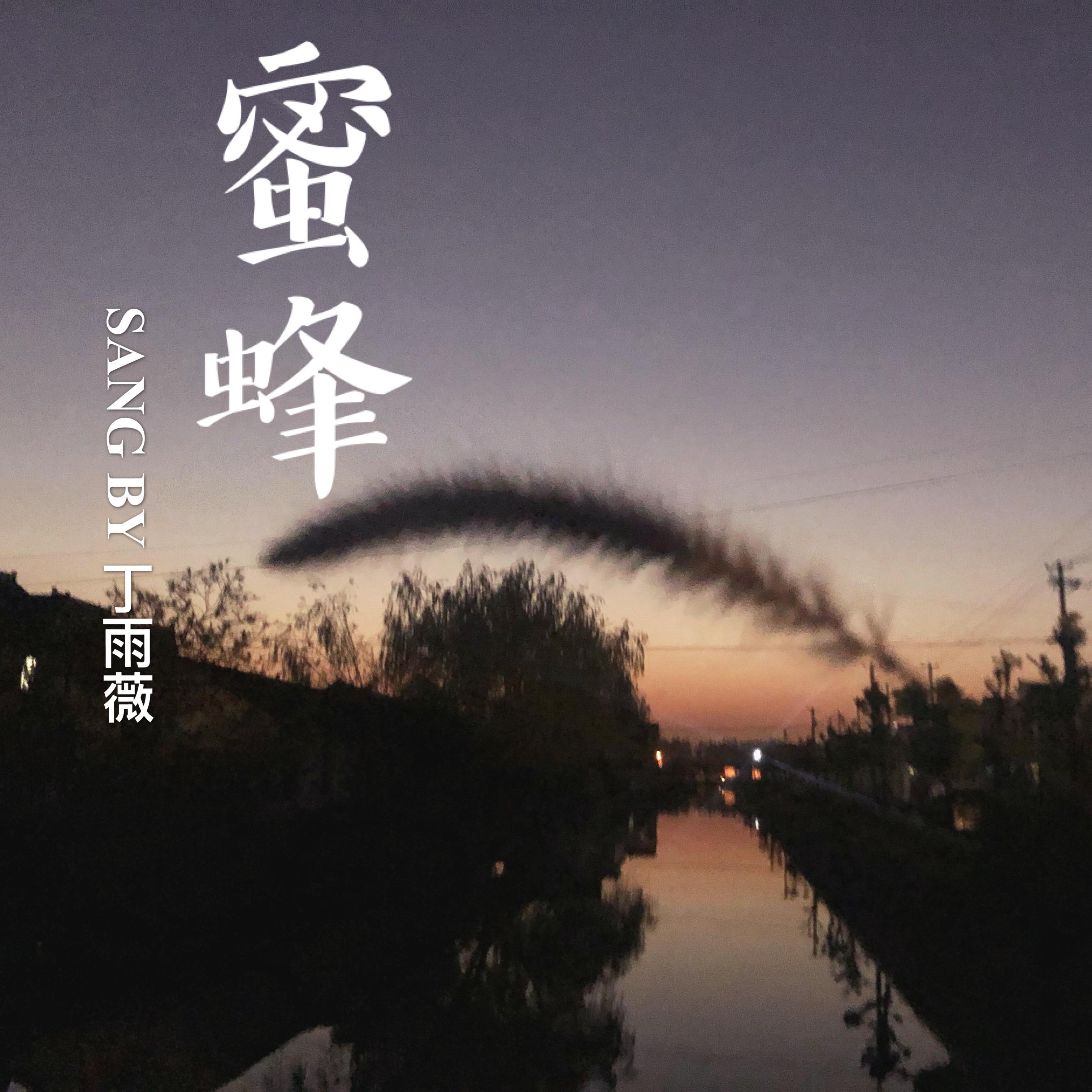 Vivye丁雨薇歌曲封面