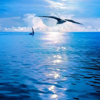 . 浪漫·迷醉·唯美治愈钢琴音乐 .
