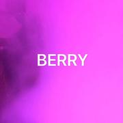 李佳隆-BERRY（Puzzle.Z remix）