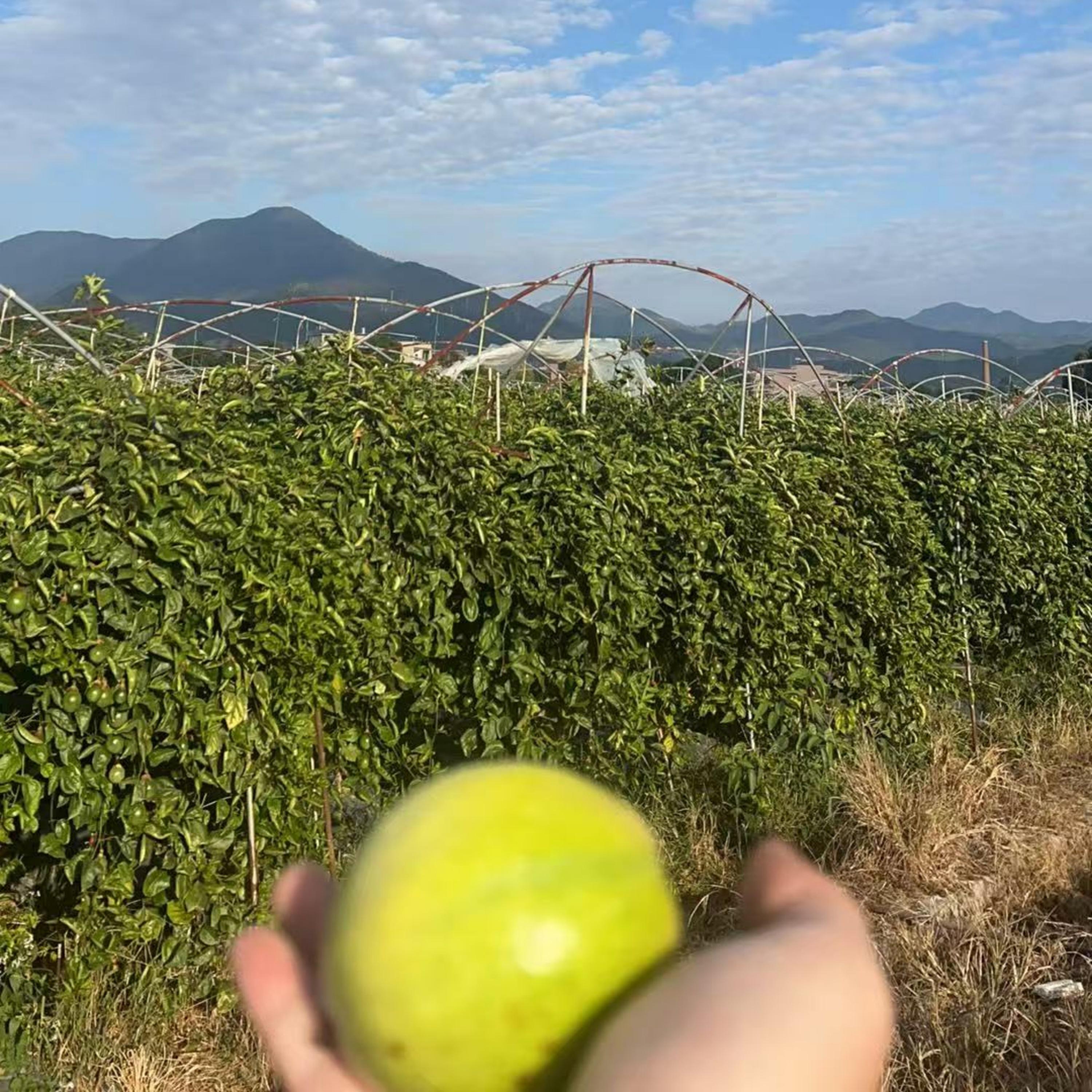 爱一个人的话怎么舍得不说出来