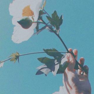 『纯音乐』希望这个世界会好好善待你们✨