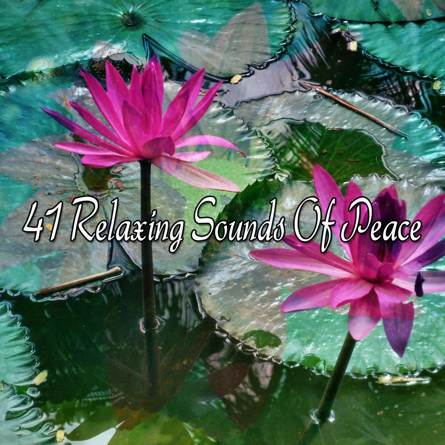 41 Relaxing Sounds Of Peace专辑