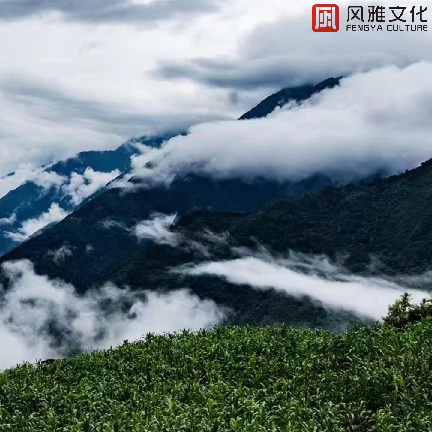 欢快正能量轻音乐/健身瑜伽轻音乐
